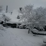 Jardín nevado
